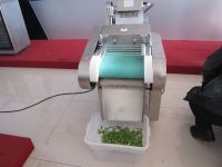 stainless steel vegetable cutting machine