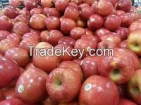 Fuji apples