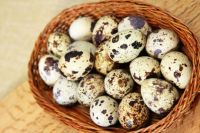 Fresh Quail eggs