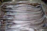 Buy Quality frozen ribbon fish
