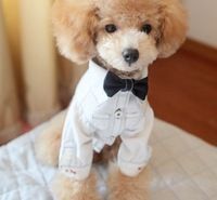 Cute Dog Clothes