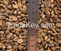 Ethiopian Green Coffee Beans Harrar - Grade5 Unwashed