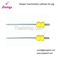 Foam head inseminator for sow