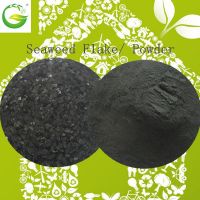 https://ar.tradekey.com/product_view/100-Water-Soluble-Organic-Fertilizer-Seaweed-Extract-Fertilizer-6817080.html