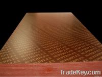 18mm Film Faced Plywood/FFP for Construction