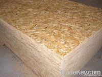 OSB PLYWOOD FACTORY