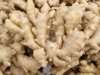 Fresh ginger with competitive price