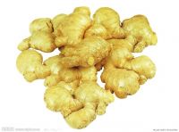 Export of agriculture of Fresh ginger