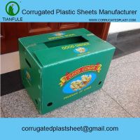 Corona Treated Plastic Sheet