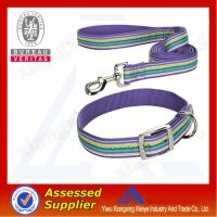 hot sale buckles for dog collar in china market