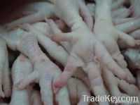 Frozen Chicken Feet