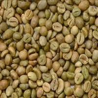 Robusta Coffee Beans