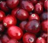 Blueberry/Cranberry/Black currant Anthocyanin, Factory supply