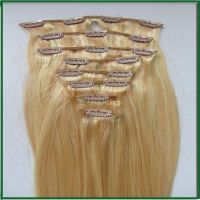 Clip In Human hair extensions