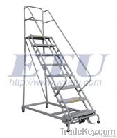 Industrial Steel Rolling Ladders Rl Series