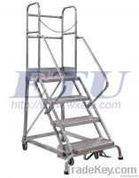 304 Stainless Rolling Ladders (SRL Series)