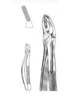 Tooth Extracting Forceps DGHR - 102