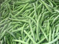 Frozen Soy Bean