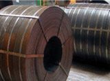 Hot rolled steel products