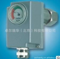 Trafag SF6 Gas Density Monitor 8710,8720,8730,8740