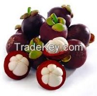 https://jp.tradekey.com/product_view/Bali-Wild-Mangosteen-7601513.html