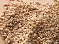 Raw natural sesame seeds