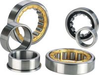cylingdrical roller bearing