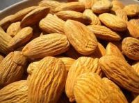 https://www.tradekey.com/product_view/Almond-Nuts-Cashew-Nuts-Pistachios-Bettel-Nuts-All-Nut-brazil-Nuts-sweet-Almond-amp-Dry-Fruit-6672241.html