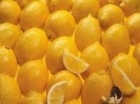 Quality Fresh South African Organic Lemons, Oranges,
