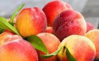 Quality FRESH PEACHES