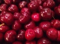 Quality Fresh Cherries