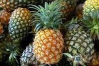 Quality Fresh Pineapples | Canned Pineapples | Pineapple Juice