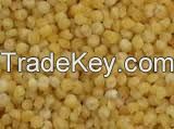 Mustard Seed Black (Purity 99.8) 