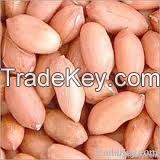 2014 red skin peanut kernels 50-60