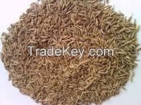 CELERY SEEDS 100% TOP QUALITY