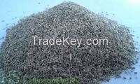 Ajwain Seed for export