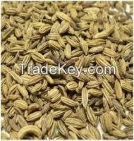 100% Pure Natural Caraway Extract/Caraway Extract powder/caraway seeds