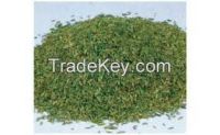 fennel seeds for export