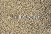 Hulled sesame seeds Autodried, 99.99% Purity