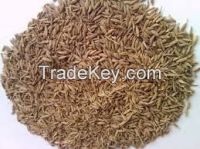 fenugreek seeds powder Indian Origin