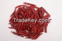 S 17 TEJA CHILLI FOR SALE