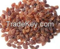 Brown Raisins/malayar raisins