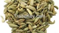 fennel seed for export 2014
