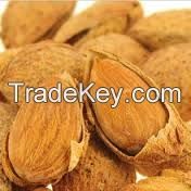 NP Nut Almond For Snack