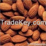 indian High Quality Almonds
