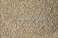 red sesame seed for export at best price