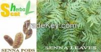 Senna Leaf Supplier