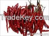 Dry chilli