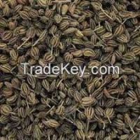 machine clean dill seed for exports