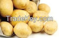 Sell Cheap & High Quality Potato Starch